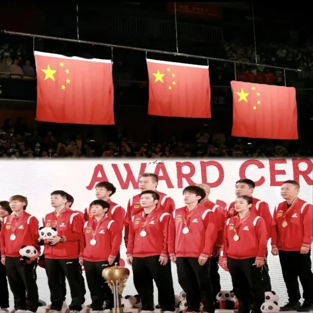 樊振东回归国家队传闻振动乒坛